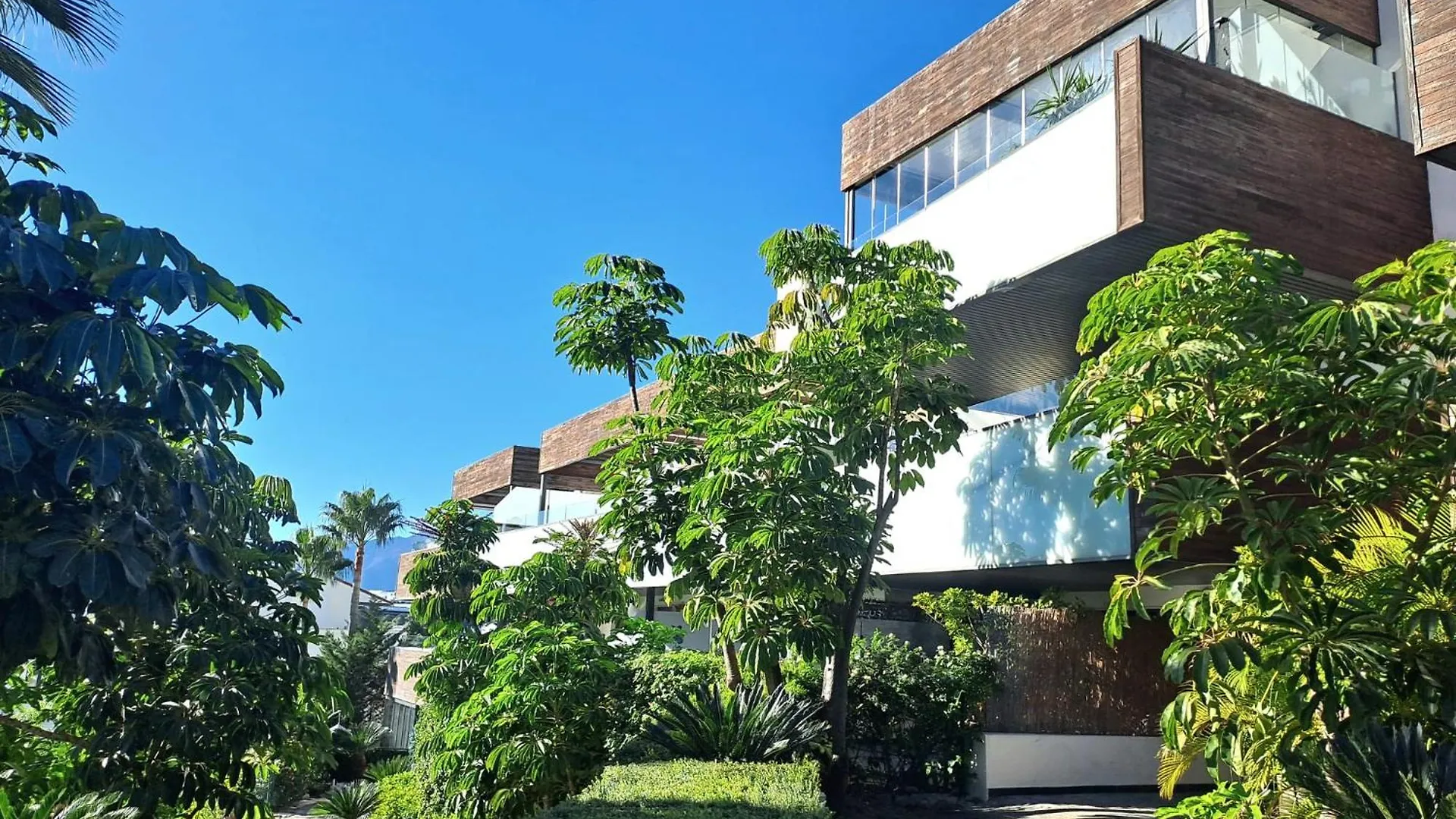 Noctua Flamingos 027 Apartment Estepona Spain